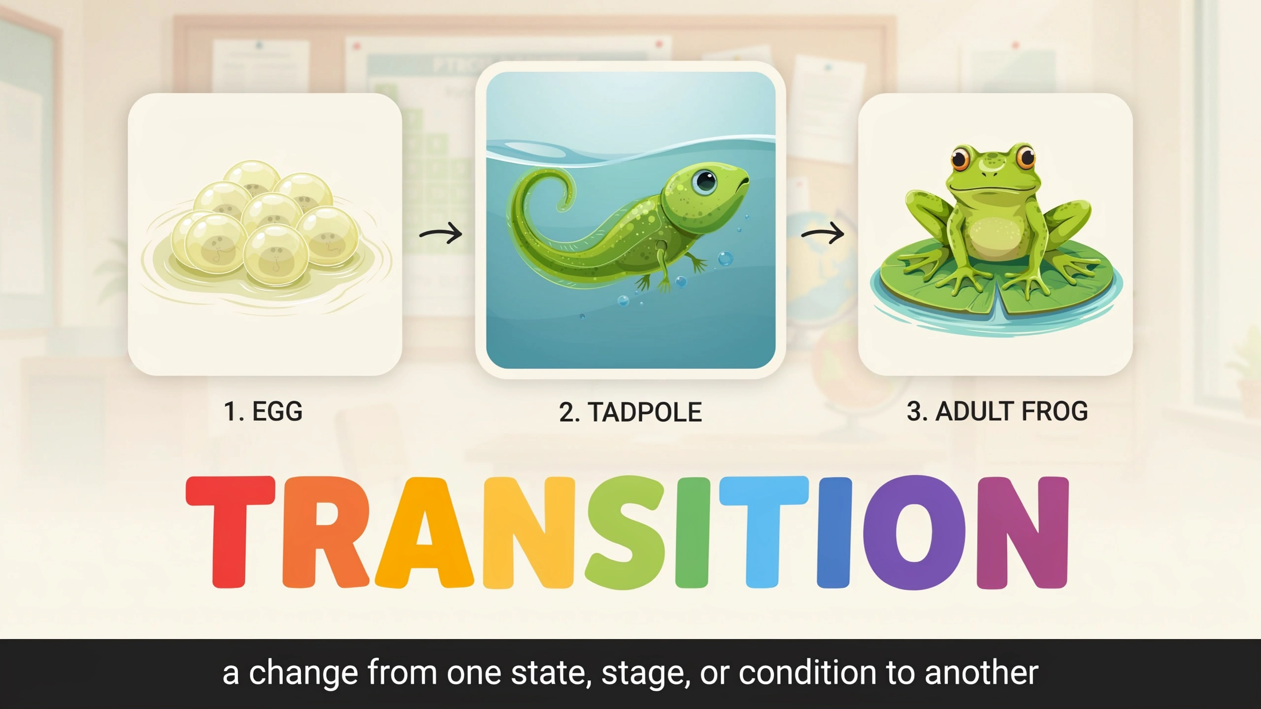English Illustration for transition